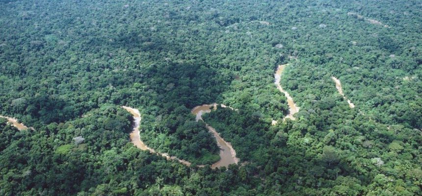 floresta-amazonica